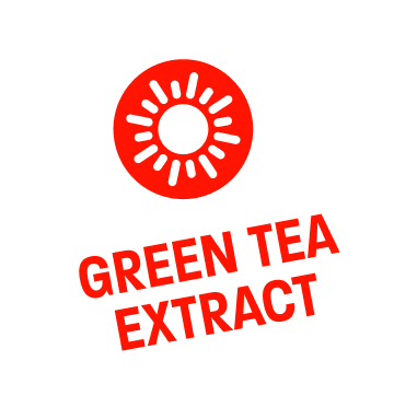 Green Tea Extract